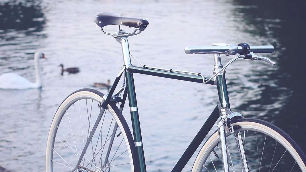 Steel bike parked by a river with a swan in the water
